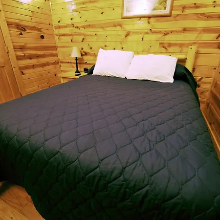 The Cabins At Pine Haven - Beckley Beaver Esterno foto